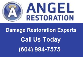Angel Restoration Inc.